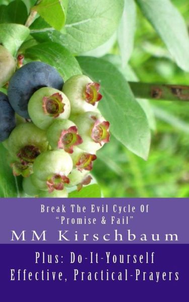 Cover for M M Kirschbaum · Break the Evil Cycle of Promise &amp; Fail: Plus: Do-it-yourself Effective, Practical-prayers (Paperback Book) (2015)