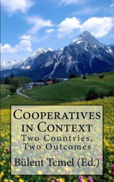 Cover for Bulent Temel (Ed ) · Cooperatives in Context (Paperback Book) (2016)