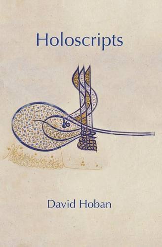 Cover for David Hoban · Holoscripts (Paperback Book) (2014)