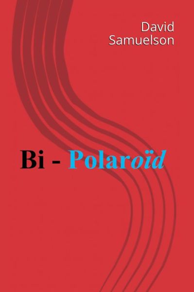 Cover for David Samuelson · Bi - Polaroid (Book) (2020)