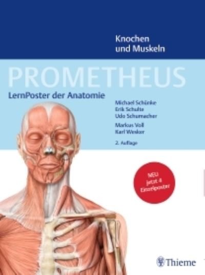 Cover for Michael Schunke · PROMETHEUS LernPoster der Anatomie, Knochen und Muskeln (Plakat) (2018)