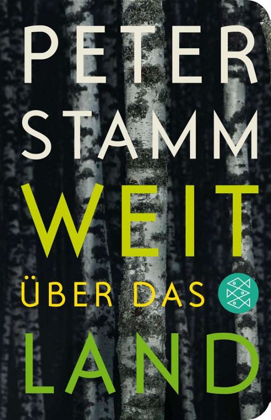 Cover for Peter Stamm · Fischer TB.52174 Stamm:Weit über das La (Book)