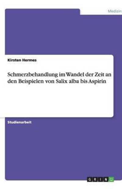 Cover for Hermes · Schmerzbehandlung im Wandel der (Book) [German edition] (2013)