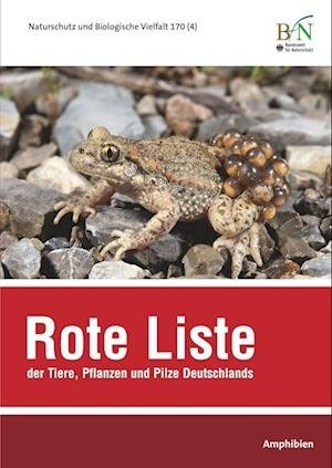 Cover for Bundesamt Für Naturschutz · NaBiV Heft 170/4 Rote Liste der Tiere, Pflanzen und Pilze Deutschlands - Amphibien (Paperback Book) (2021)