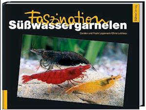 Faszination Süßwassergarnelen - Carsten Logemann - Książki - Daehne Verlag - 9783935175746 - 4 października 2011