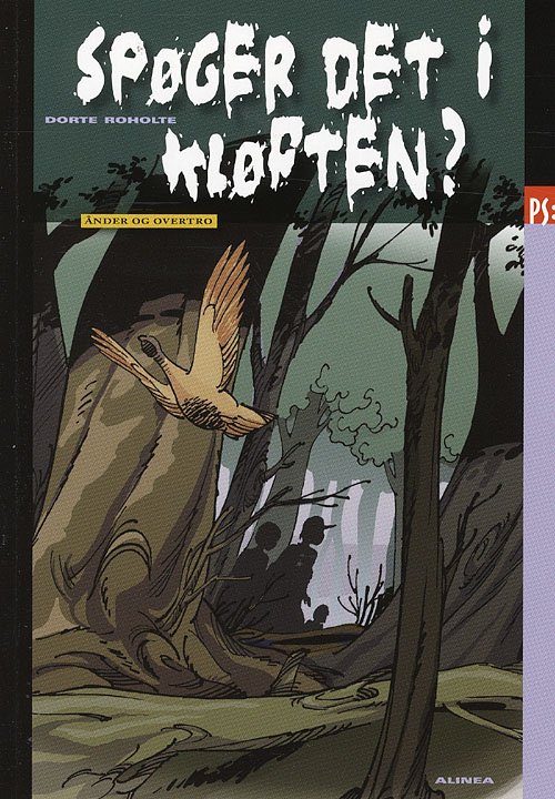 Cover for Dorte Roholte · Ps Ånder og overtro: PS, Kløften (Hæftet bog) [1. udgave] (2008)