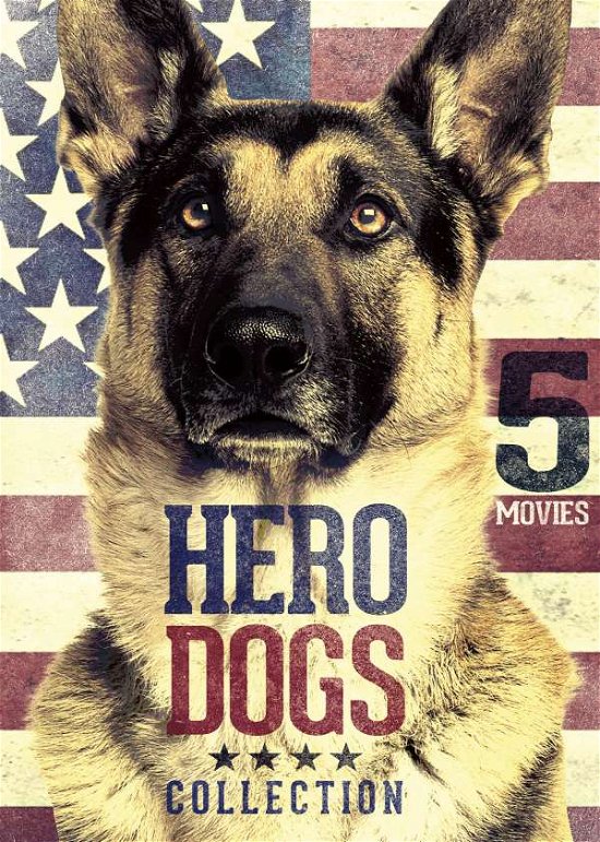 Hero Dogs Collection-5 Movies - Hero Dogs Collection - Filmes - Echo Bridge - 0096009402747 - 5 de janeiro de 2016