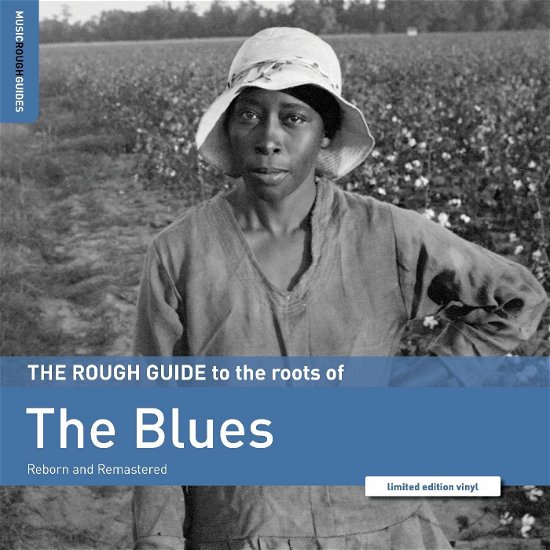 Cover for Rough Guide To The Roots Of The Blues (LP) (2020)