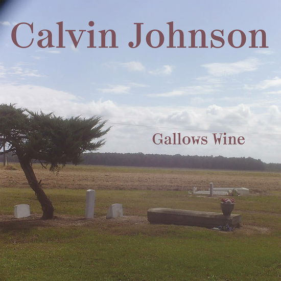 Cover for Calvin Johnson · Gallows Wine (mc) (Cassette) (2023)