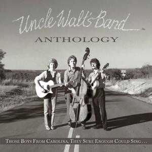 Cover for Uncle Walt's Band · Anthology: Those Boys From Car (LP) (2024)