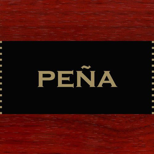 Cover for Pena (CD) (2010)