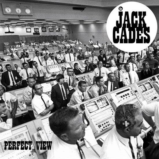 Cover for Jack Cades · Perfect View (LP) (2020)