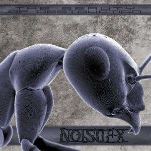 Cover for Noisuf-X · The Beauty of Destruction (CD) [New edition] (2007)