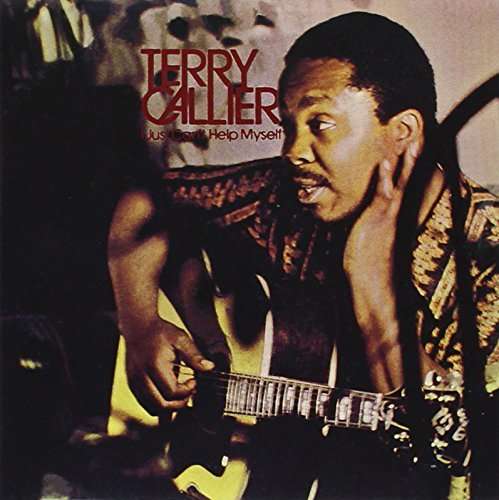 I Just Can't Help Myself - Terry Callier - Musik - CHESS - 4988005792747 - 11. december 2013