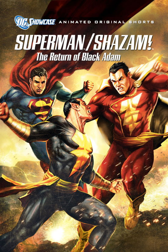 Superman / Shazam!: Return - Animation - Películas - WARNER BROS - 5051892219747 - 25 de marzo de 2019