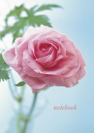 Cover for Peony Press · Notebook (Pink Rose) (Spiral Book) (2015)