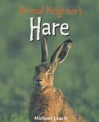 Cover for Michael Leach · Hare (Animal Neighbors) (Paperback Book) (2008)