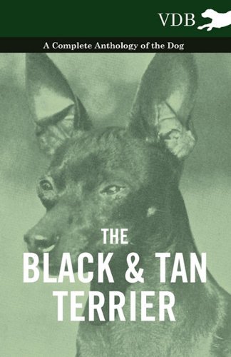 Cover for The Black and Tan Terrier - a Complete Anthology of the Dog - (Paperback Book) (2010)