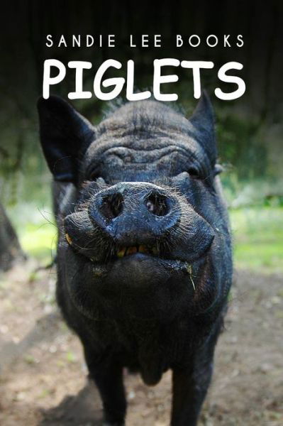 Cover for Sandie Lee Books · Piglets - Sandie Lee Books (Paperback Bog) (2014)