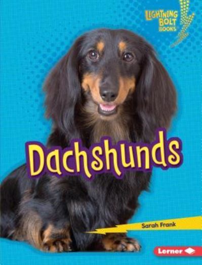 Dachshunds - Sarah Frank - Books - Lerner Publishing Group - 9781541555747 - August 1, 2019