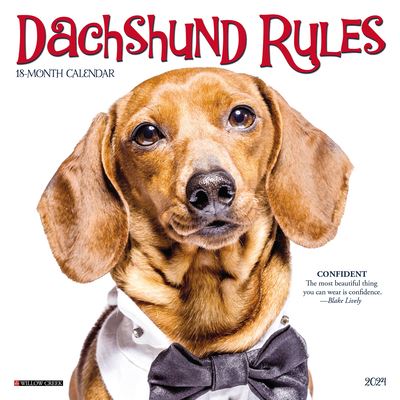 Cover for Willow Creek Press · Dachshund Rules 2024 7 X 7 Mini Wall Calendar (Calendar) (2023)