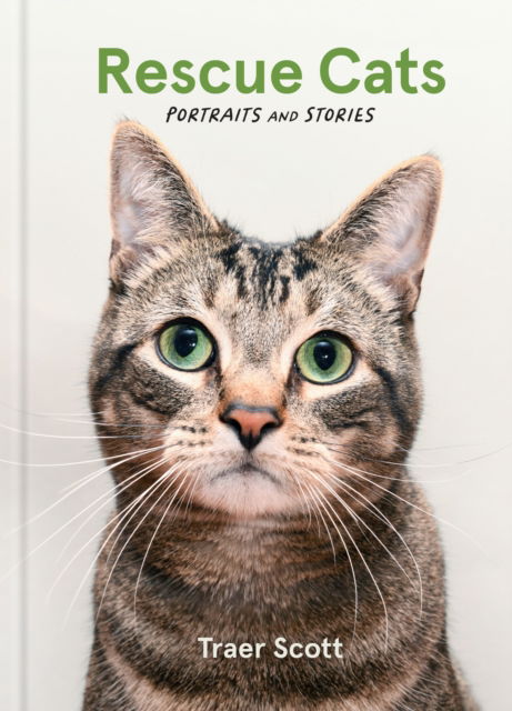 Cover for Traer Scott · Rescue Cats: Portraits and Stories (Hardcover bog) (2024)