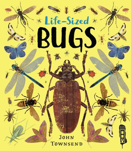 Cover for John Townsend · Life-Sized Bugs - Life-Sized (Innbunden bok) [Illustrated edition] (2019)