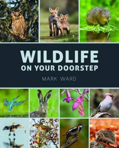 Wildlife on Your Doorstep - Mark Ward - Książki - New Holland Publishers - 9781921517747 - 21 lutego 2017