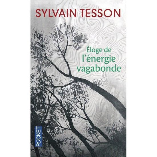 Cover for Sylvain Tesson · Eloge de l'nergie vagabonde (Pocketbok) (2009)