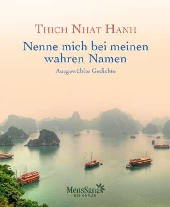 Cover for Thich Nhat Hanh · Thich Nhat Hanh:Nenne mich bei m.Namen (Buch)