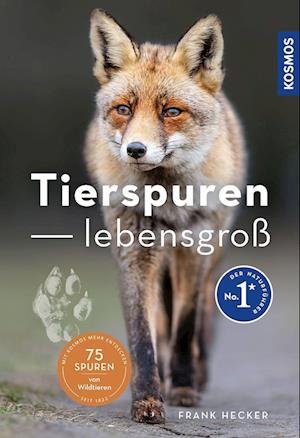 Cover for Frank Hecker · Tierspuren lebensgroß (Book) (2023)