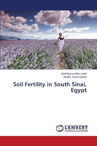 Cover for Raafat Abdelwahab · Soil Fertility in South Sinai, Egypt (Paperback Book) (2013)