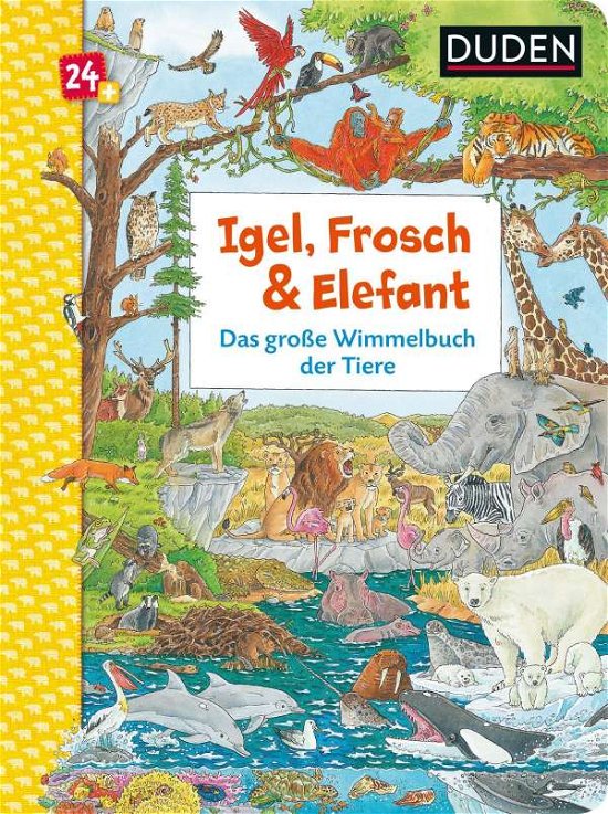 Cover for Braun · Duden 24+: Igel, Frosch &amp; Elefant (Bog)