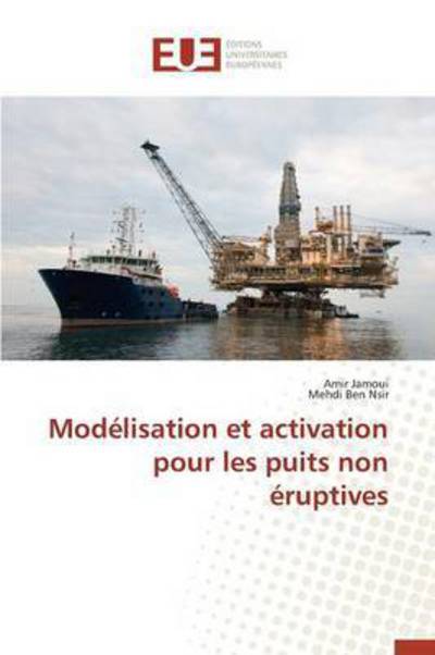 Cover for Jamoui Amir · Modelisation et Activation Pour Les Puits Non Eruptives (Paperback Book) (2018)