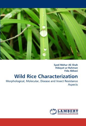 Cover for Fida Abbasi · Wild Rice Characterization: Morphological, Molecular, Disease and Insect Resistance Aspects (Paperback Book) (2010)