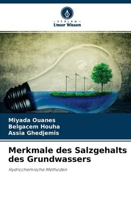 Cover for Miyada Ouanes · Merkmale des Salzgehalts des Grundwassers (Paperback Book) (2021)