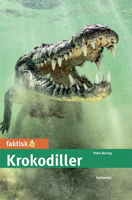 Cover for Peter Bering · Faktisk!: Krokodiller (Innbunden bok) [1. utgave] (2020)