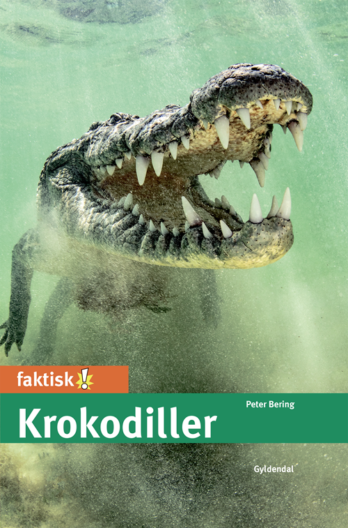 Faktisk!: Krokodiller - Peter Bering - Livros - Gyldendal - 9788702308747 - 12 de outubro de 2020