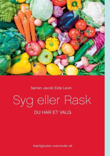 Cover for Sørren Jacob Eide Levin; Sørren Jacob Eide Levin · Syg eller Rask (Paperback Book) [1st edition] (2016)