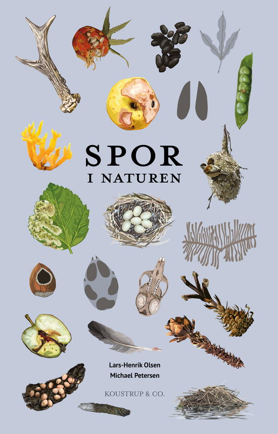 Naturguide: Spor i naturen - Lars-Henrik Olsen - Books - KOUSTRUP & CO - 9788793159747 - March 20, 2022