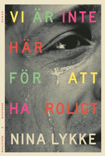 Cover for Nina Lykke · Vi är inte här för att ha roligt (Bound Book) (2023)