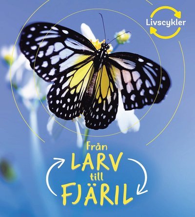 Cover for Camilla De La Bédoyère · Från larv till fjäril (Gebundesens Buch) (2019)