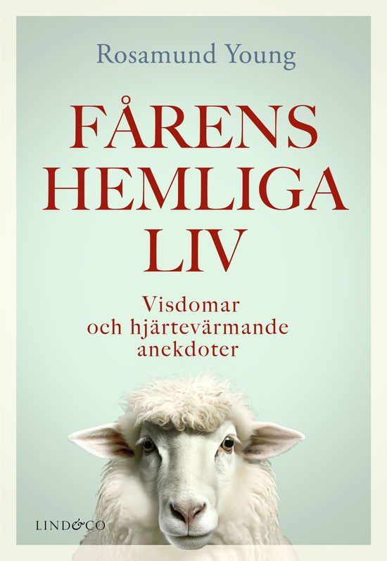 Cover for Rosamund Young · Fårens hemliga liv : Visdomar och hjärtevärmande anekdoter (Gebundesens Buch) (2024)