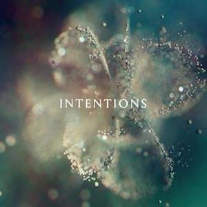 Cover for Anna · Intentions (LP) (2023)
