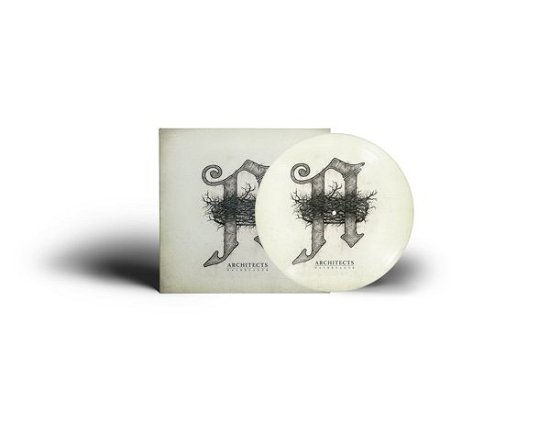 Cover for Architects · Daybreaker (Picture Vinyl) (VINYL) [Picture Vinyl edition] (2023)
