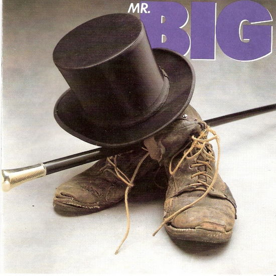 Mr. Big - Mr. Big - Música - Evolution Music - 4895241411748 - 