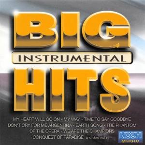 Cover for Acoustic Sound Orchestra · Big Hits Instrumental (CD) (2007)