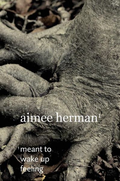 Cover for Aimee Herman · Meant to Wake Up Feeling (Pocketbok) (2014)