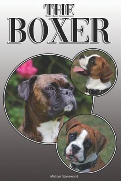 Cover for Michael Stonewood · The Boxer : A Complete and Comprehensive Owners Guide to : Buying, Owning, Health, Grooming, Training, Obedience, Understanding and Caring for Your Boxer (Paperback Book) (2019)