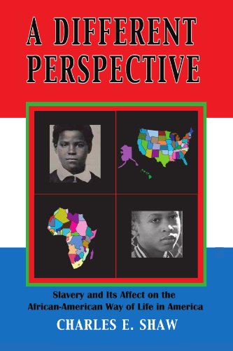 A Different Perspective: Slavery and It's Affect on the African-american Way of Life in America - Charles E. Shaw - Books - Xlibris - 9781425757748 - September 8, 2008